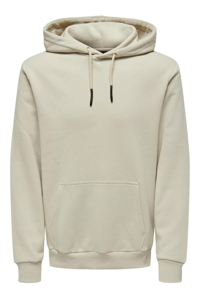 ONSCERES HOODIE SWEAT NOOS 22018685 Silver Lining